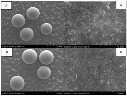 Preparation method of surface imprinted particles capable of efficiently separating flavone molecules