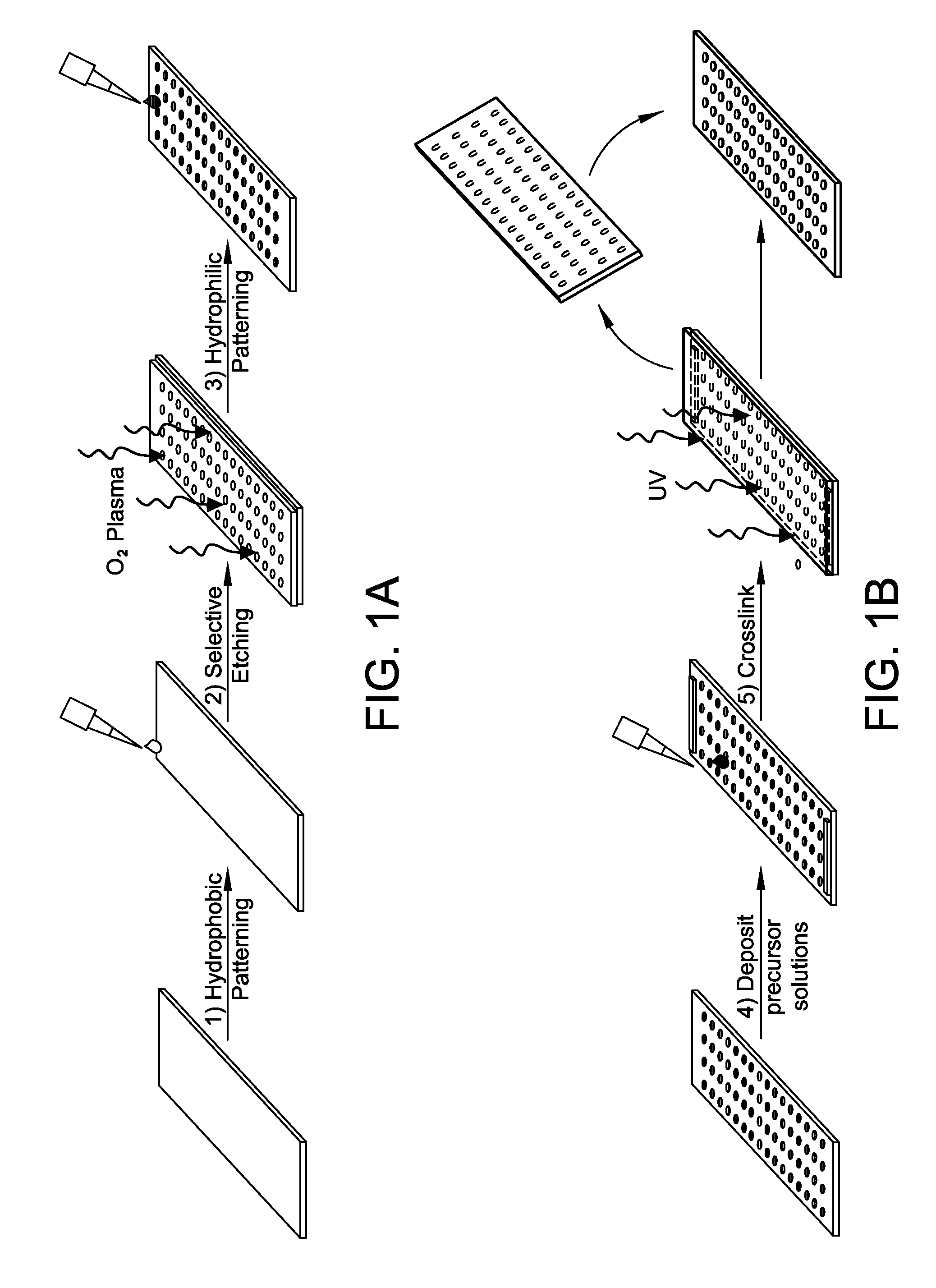 Novel method for forming hydrogel arrays using surfaces with differential wettability