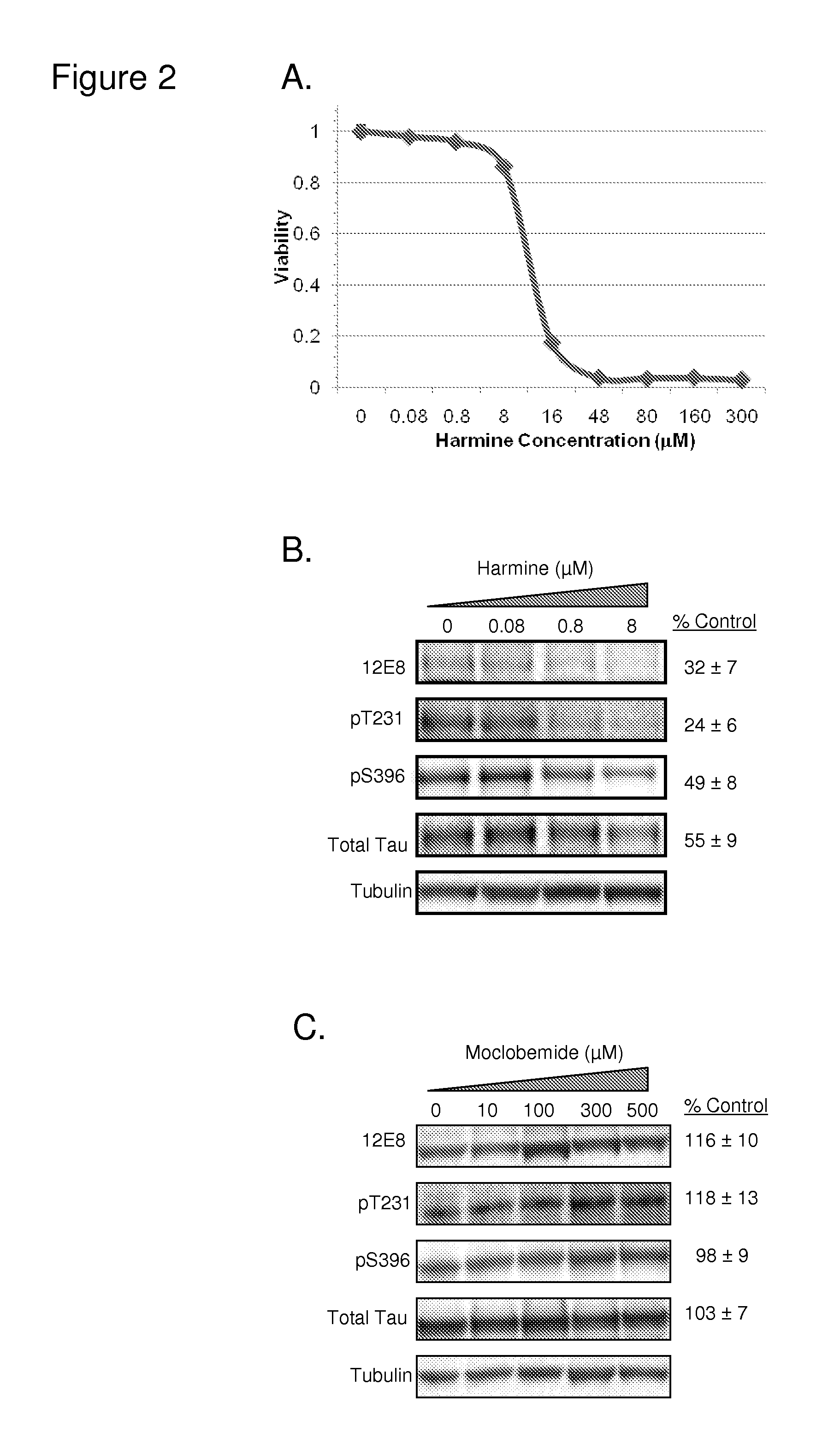 Compounds that inhibit tau phosphorylation