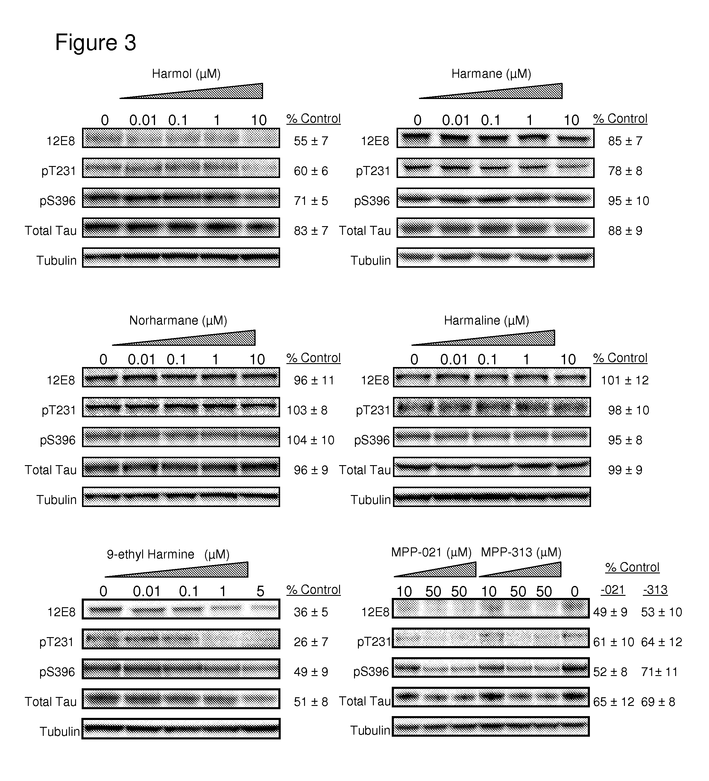 Compounds that inhibit tau phosphorylation