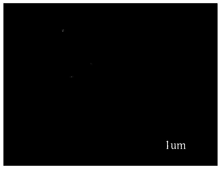 Graphite-phase carbon nitride/polymer composite material, preparation method and energy storage material