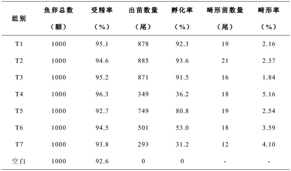 A method for hatching of lentil salmon eggs to prevent the outbreak of saprolegniasis