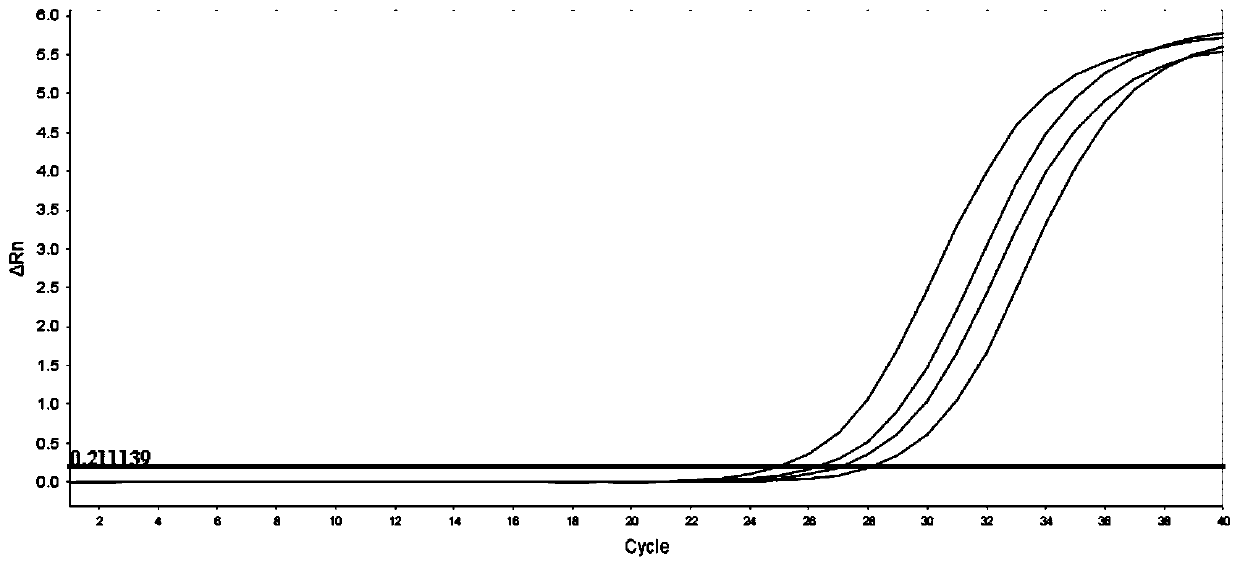 Method for detecting mutation rate of JAK2 V617F as well as special primer and probe thereof