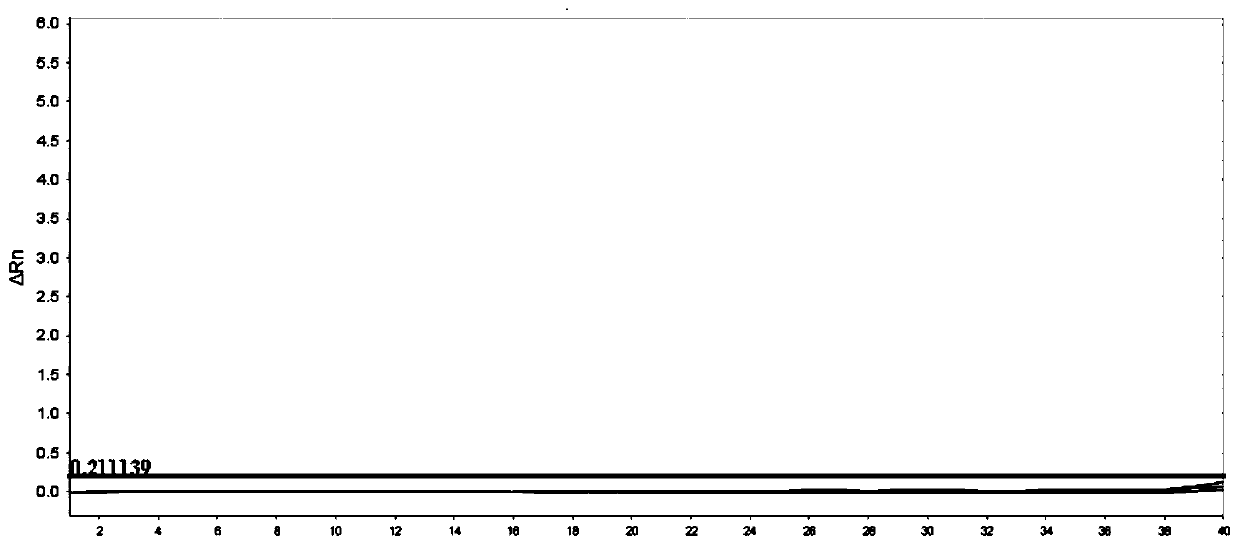 Method for detecting mutation rate of JAK2 V617F as well as special primer and probe thereof