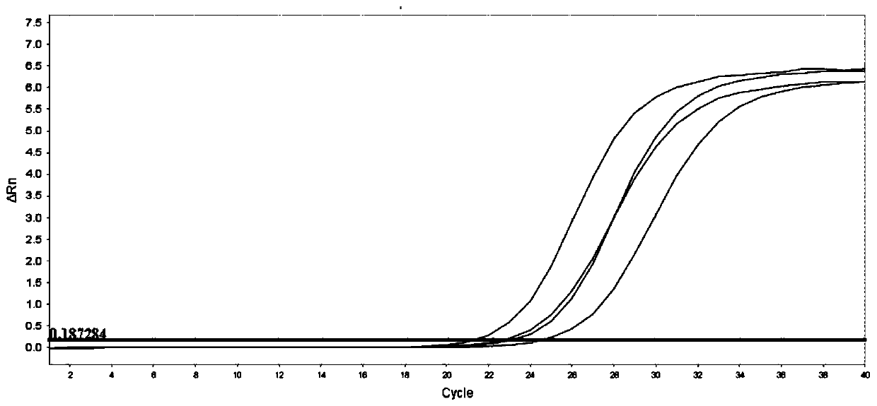 Method for detecting mutation rate of JAK2 V617F as well as special primer and probe thereof