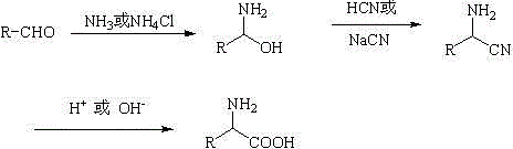 Synthesis and purification method for alpha-amino acid compound