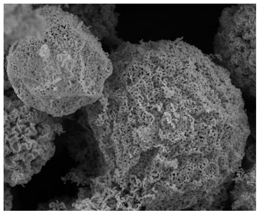 A kind of graphite-like hollow microsphere photocatalyst and its preparation method and application method