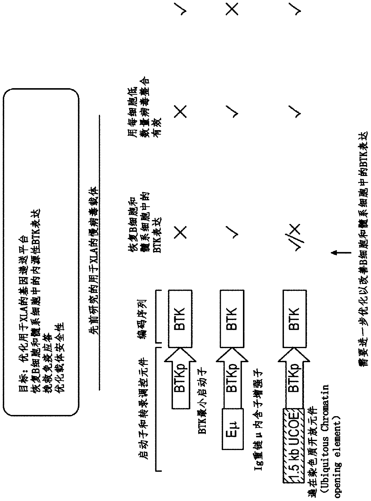 Optimized lentiviral vector for xla gene therapy