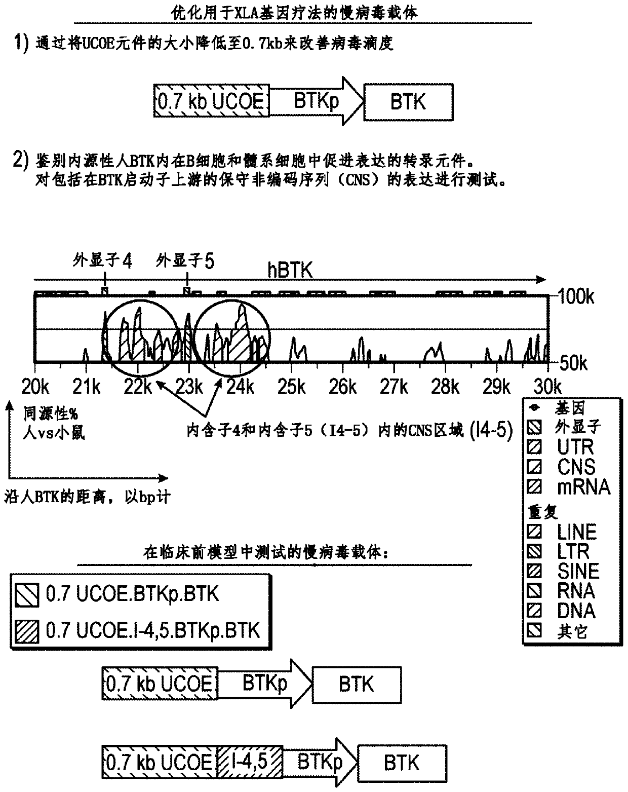 Optimized lentiviral vector for xla gene therapy