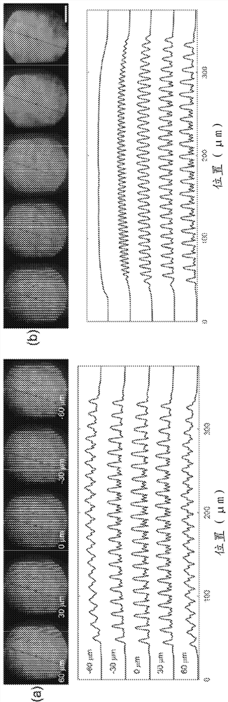 Apparatus and method for fast volumetric fluorescence microscopy using temporally multiplexed light sheets