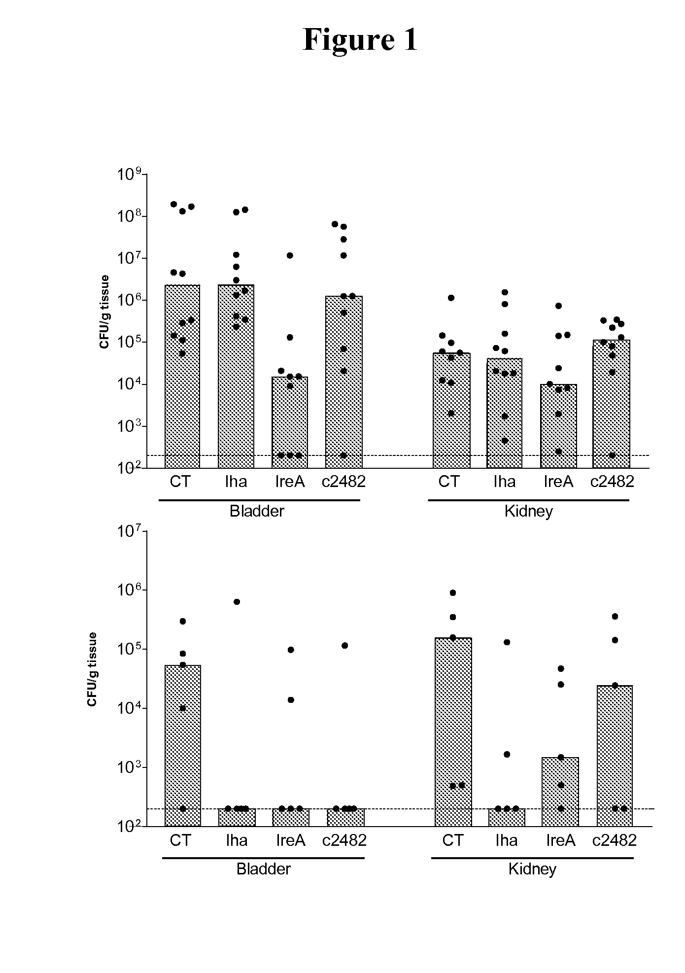 Compositions and methods for diagnosing and treating urinary tract infections
