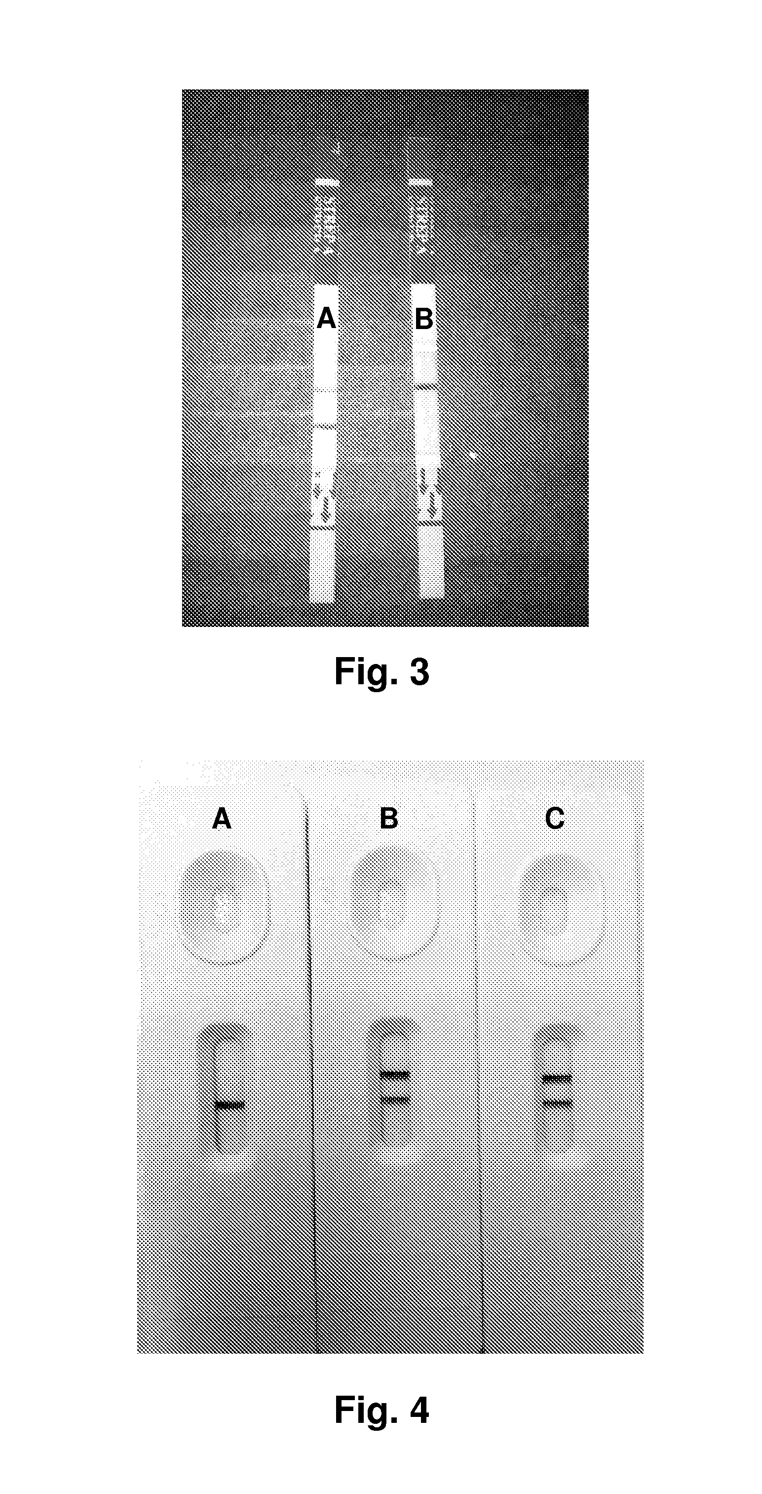 Immunochromatographic assay with minimal reagent manipulation