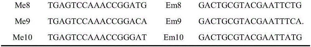 Molecular marker and application of grape anthracnose resistance main effect QTL (quantitative trait locus)