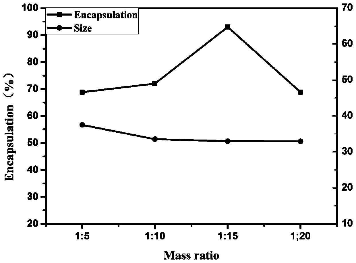 Preparation method of targeted drug delivery nano-delivery system