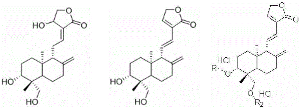 A kind of preparation method of dehydroandrographolide and its amino acid ester derivatives