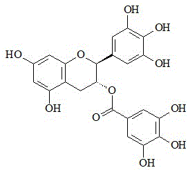 Method for preparing high-purity gallnut catechin gallate (GCG)