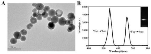 CRISPR/Cas13a based food-borne pathogenic bacterium nucleic acid nano fluorescence trace detection method