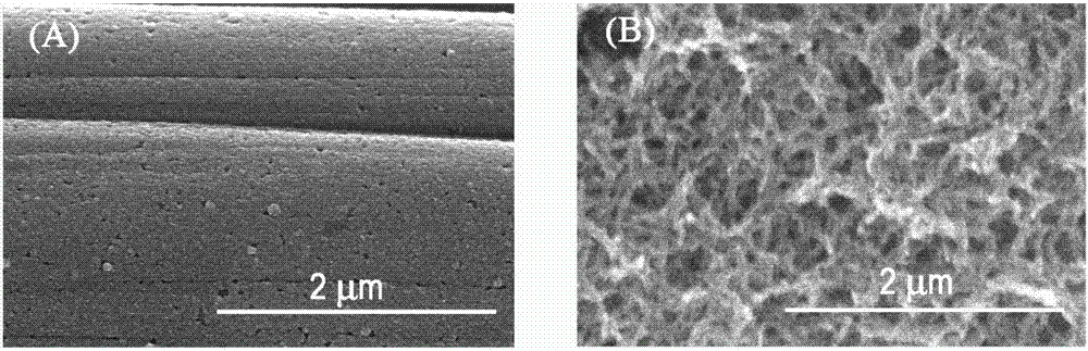 MnO2-porous polyaniline composite electrode as well as preparation method and application thereof