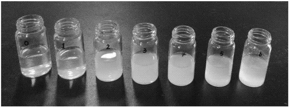 Ultrasonic nano spray liquid preparation and preparation method thereof