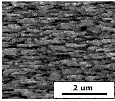 A kind of array type silver nanorod with surface modified gold nanoparticle and preparation method thereof