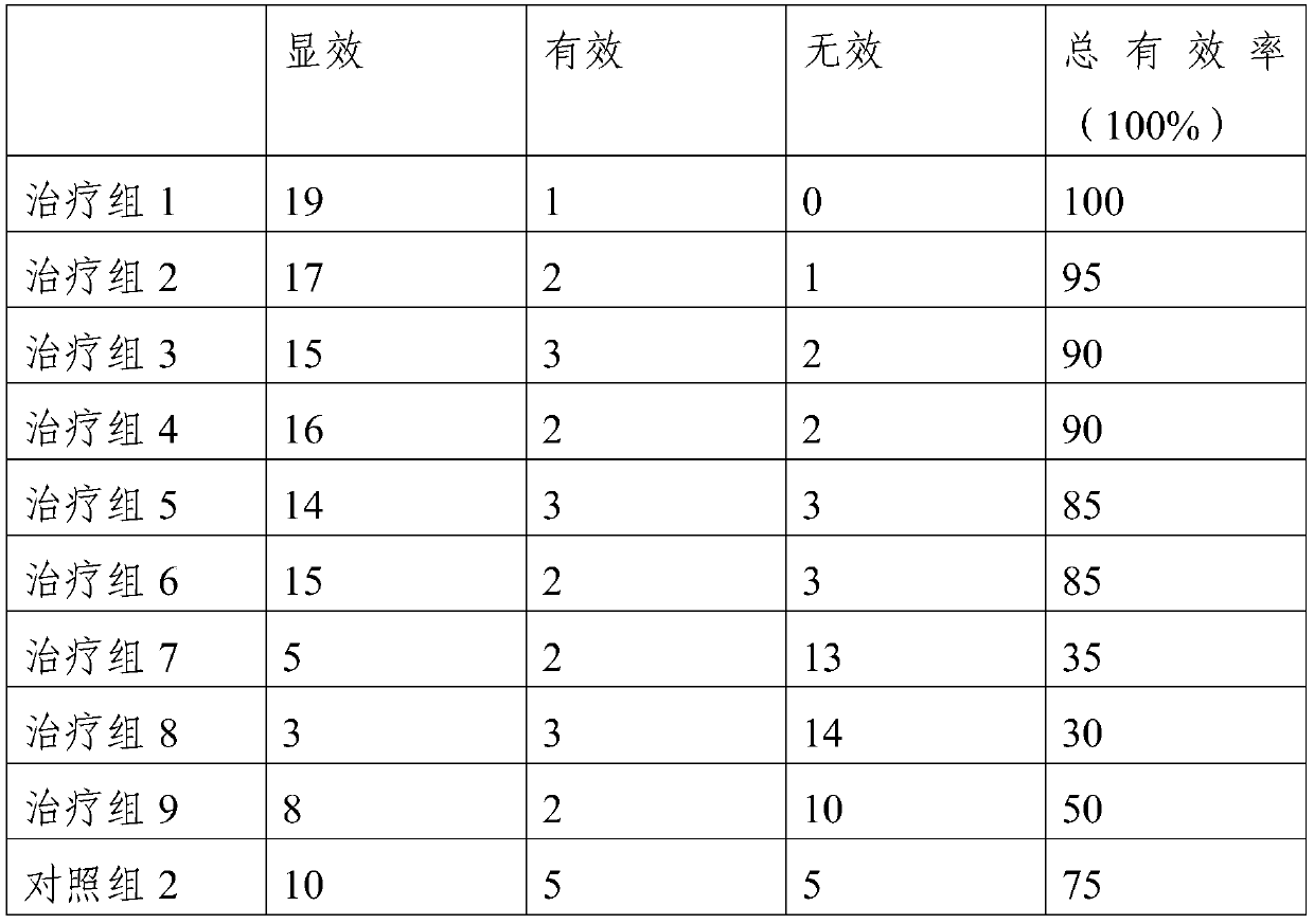 Traditional Chinese medicine marrow hematogenesis composition and application thereof