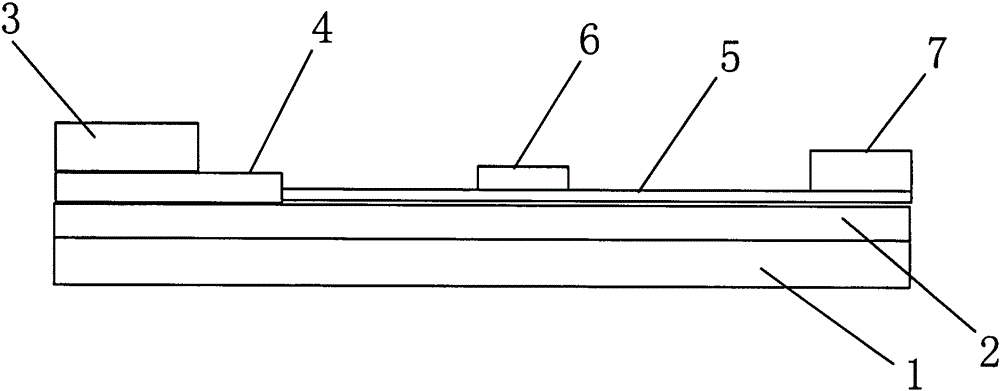 Method for detecting tissue cell protein using housekeeping protein