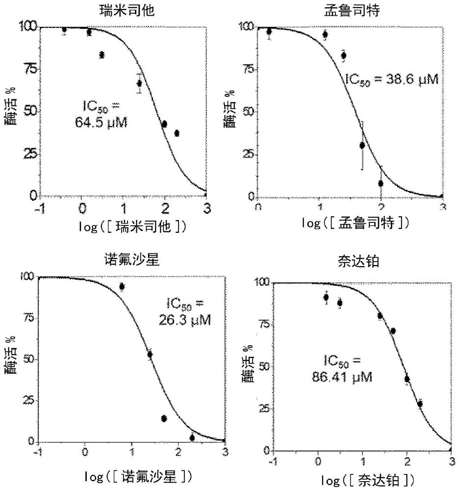 Pharmaceutical composition for prevention or treatment of flavivirus infectious disease