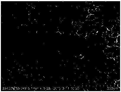 A preparation method of an environmentally friendly hydrophilic porous coating for surface modification of porous membranes