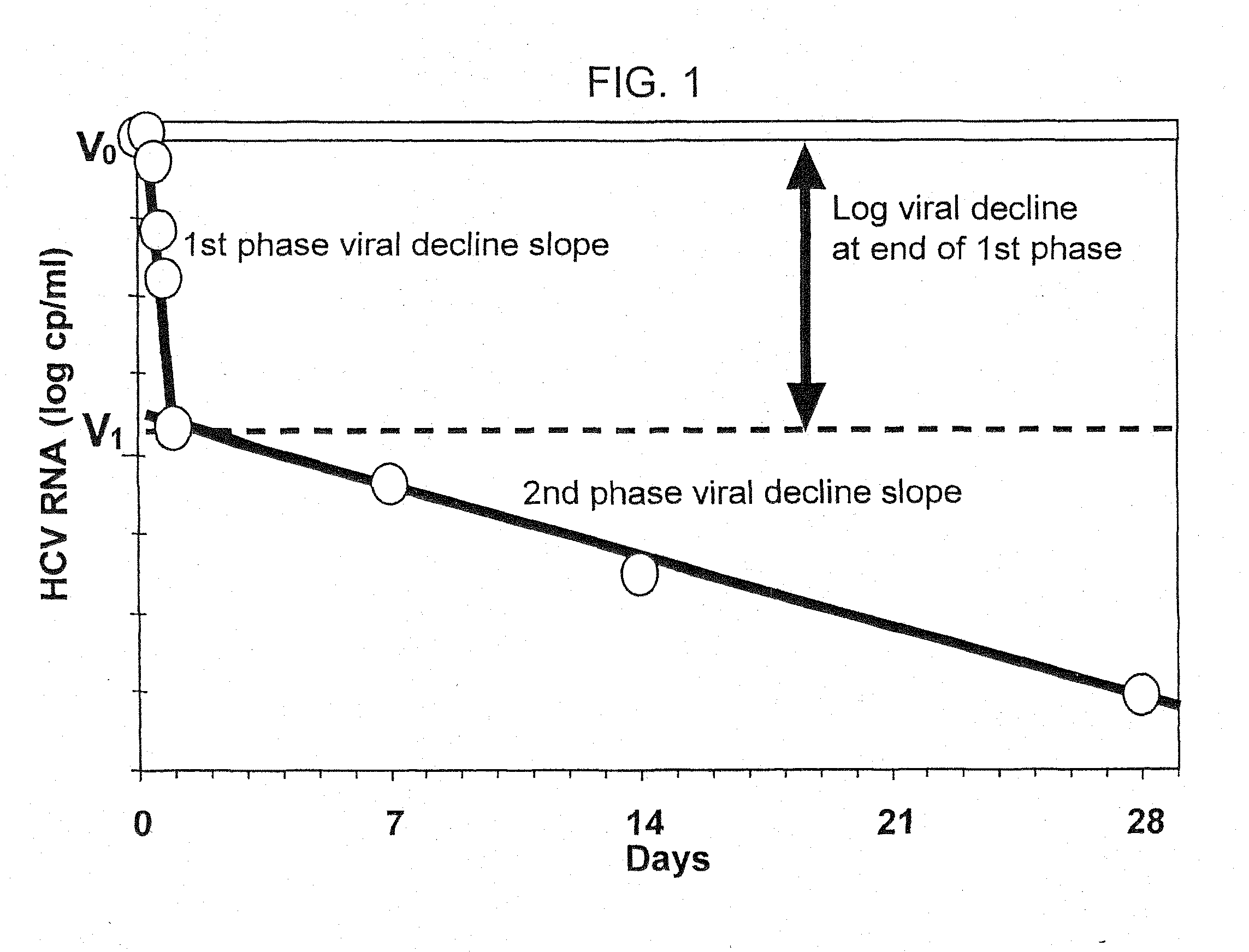 Method of treating hepatitis virus infection with a multiphasic interferon delivery profile