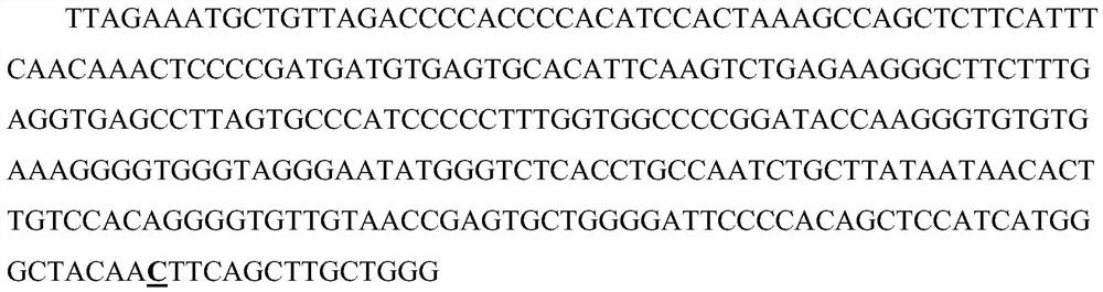 A rhd blood group gene rhd993c&gt;t allele and its application