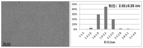 Fluid method for continuous preparation of iron oxide nanoparticles