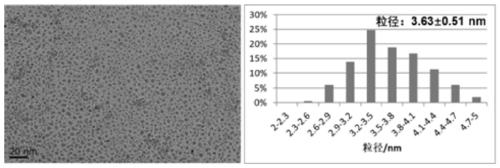 Fluid method for continuous preparation of iron oxide nanoparticles