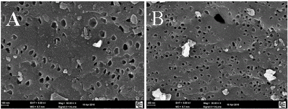 Porous carbon doped silver nanoparticles capable of visually and rapidly detecting mercury ions