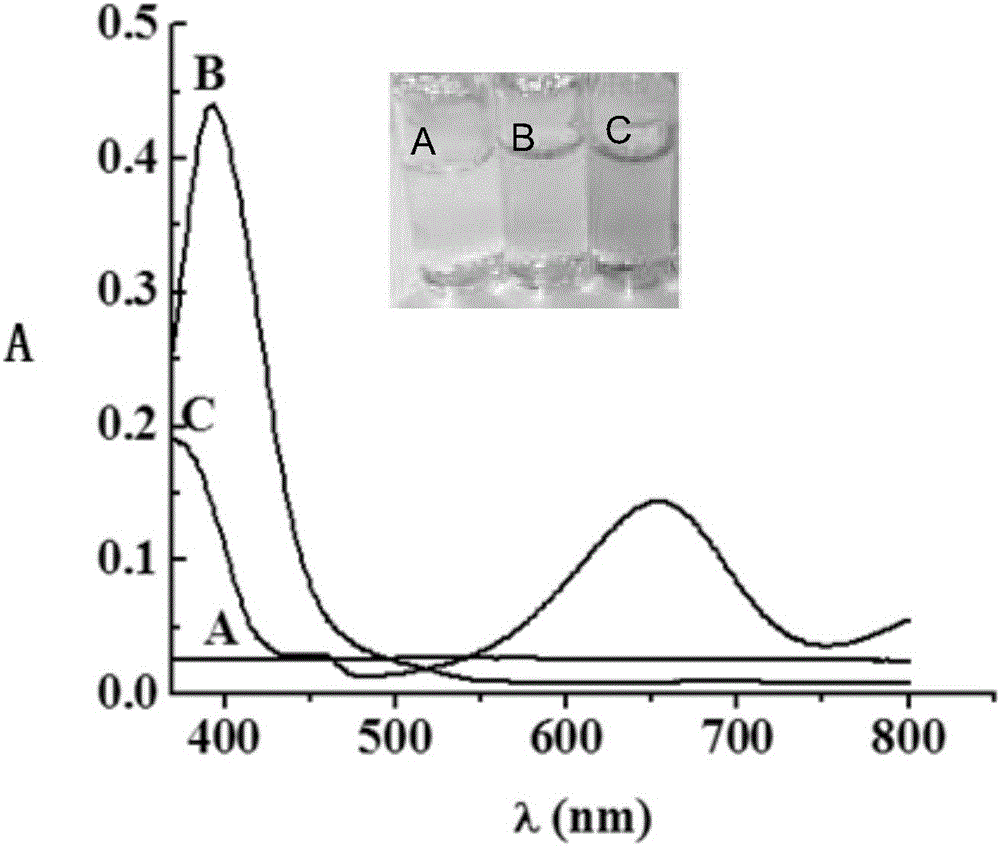 Porous carbon doped silver nanoparticles capable of visually and rapidly detecting mercury ions