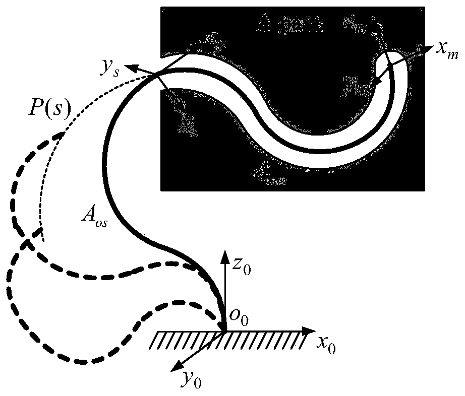 Cooperative motion planning method and system for line-driven continuous robot endoscopic operation