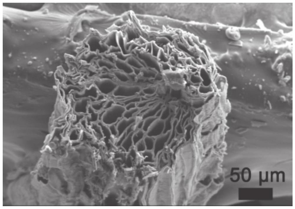 Carbon-based porous composite wave-absorbing agent based on natural loofah sponge and preparation method of carbon-based porous composite wave-absorbing agent
