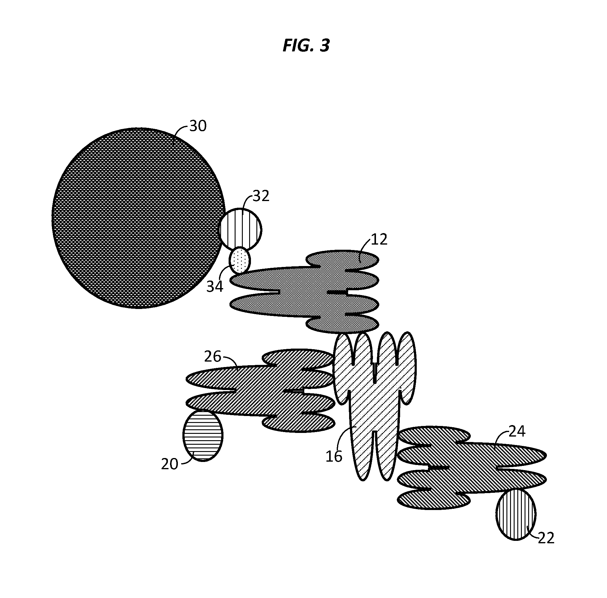 Compositions, systems and methods that detect and/or remove cross-reactive antibodies from a biological sample