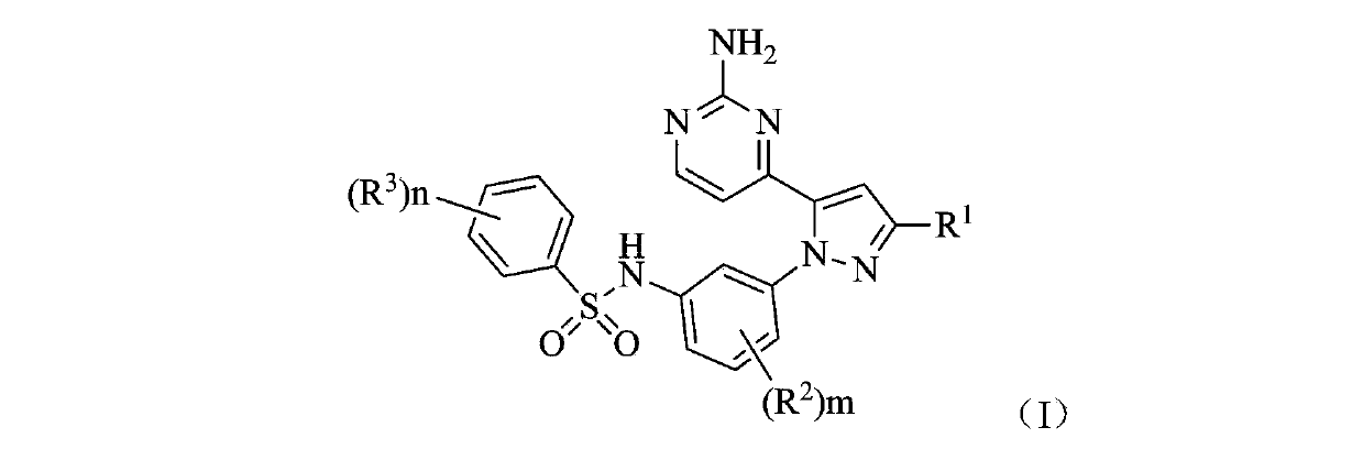 Benzene sulfonamide pyrazole kinase inhibitor