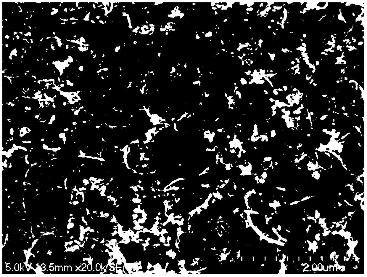 Carbon nano tube dispersion liquid and preparation method thereof