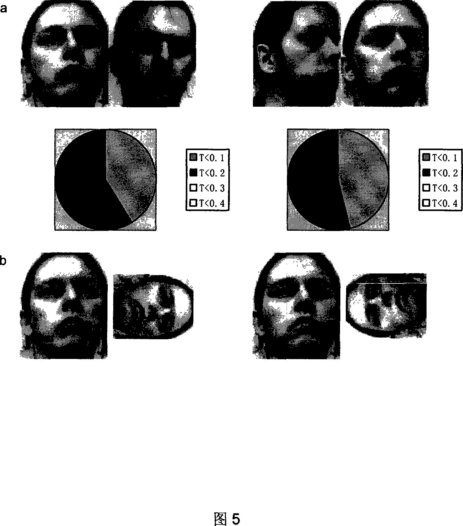 Face shape matching method based on Shape Context