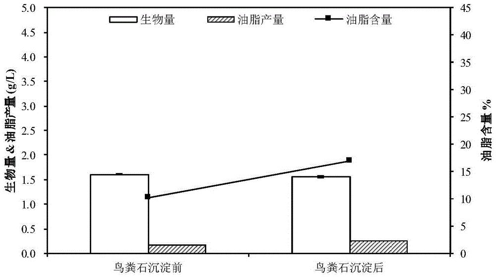 Method for producing acid by fermenting excess sludge and synthesizing microbial oil