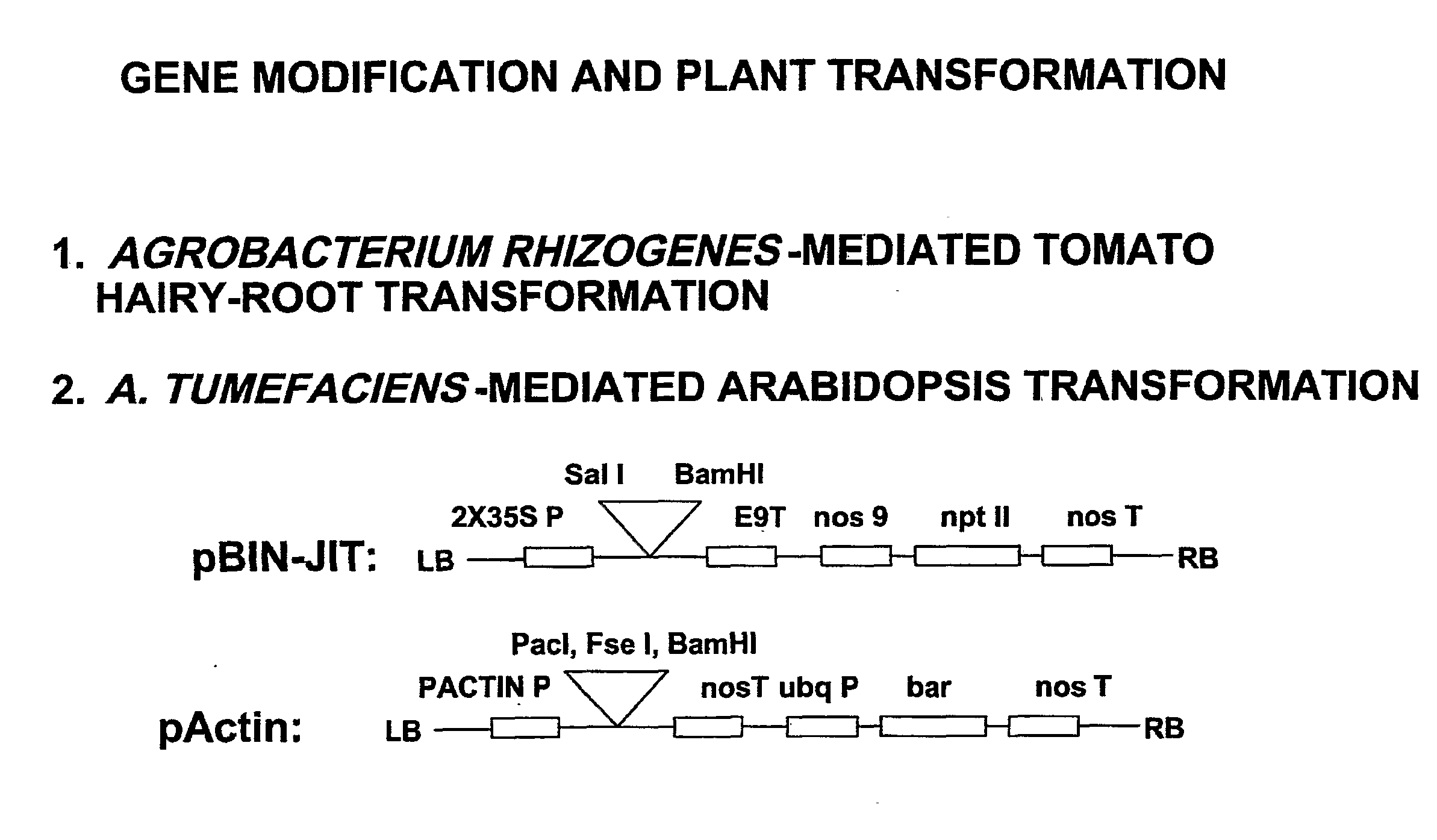Method for Controlling Plant-Parasitic Nematode Infections in Plants