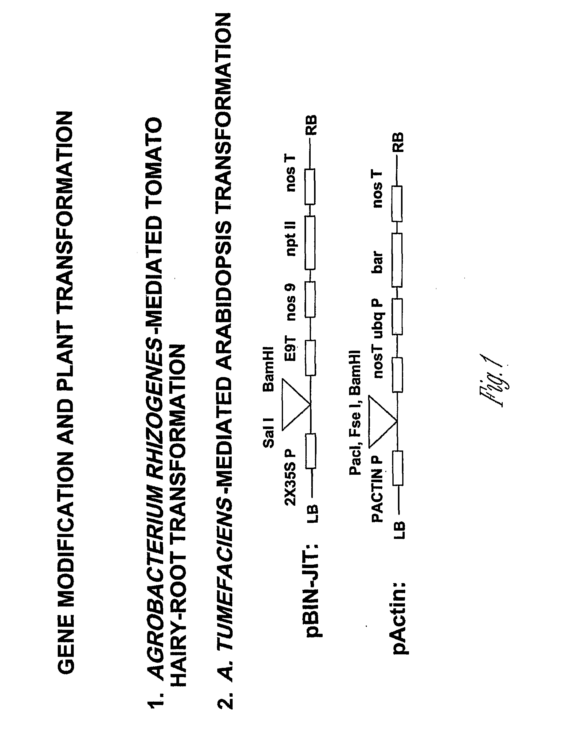 Method for Controlling Plant-Parasitic Nematode Infections in Plants