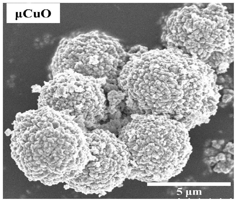 Preparation method and application of acellular porcine dermal matrix antibacterial conductive skin scaffold