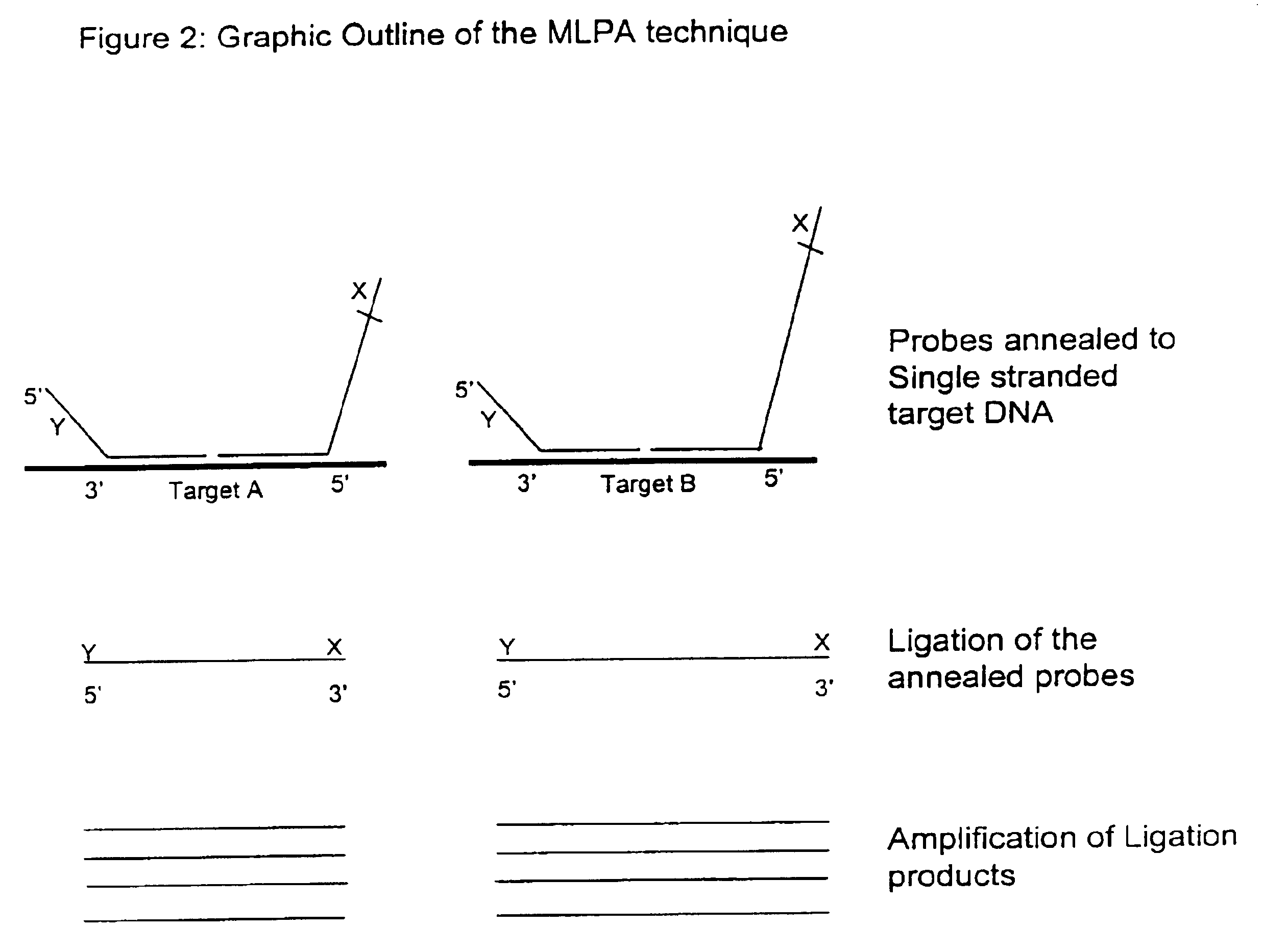 Multiplex ligatable probe amplification