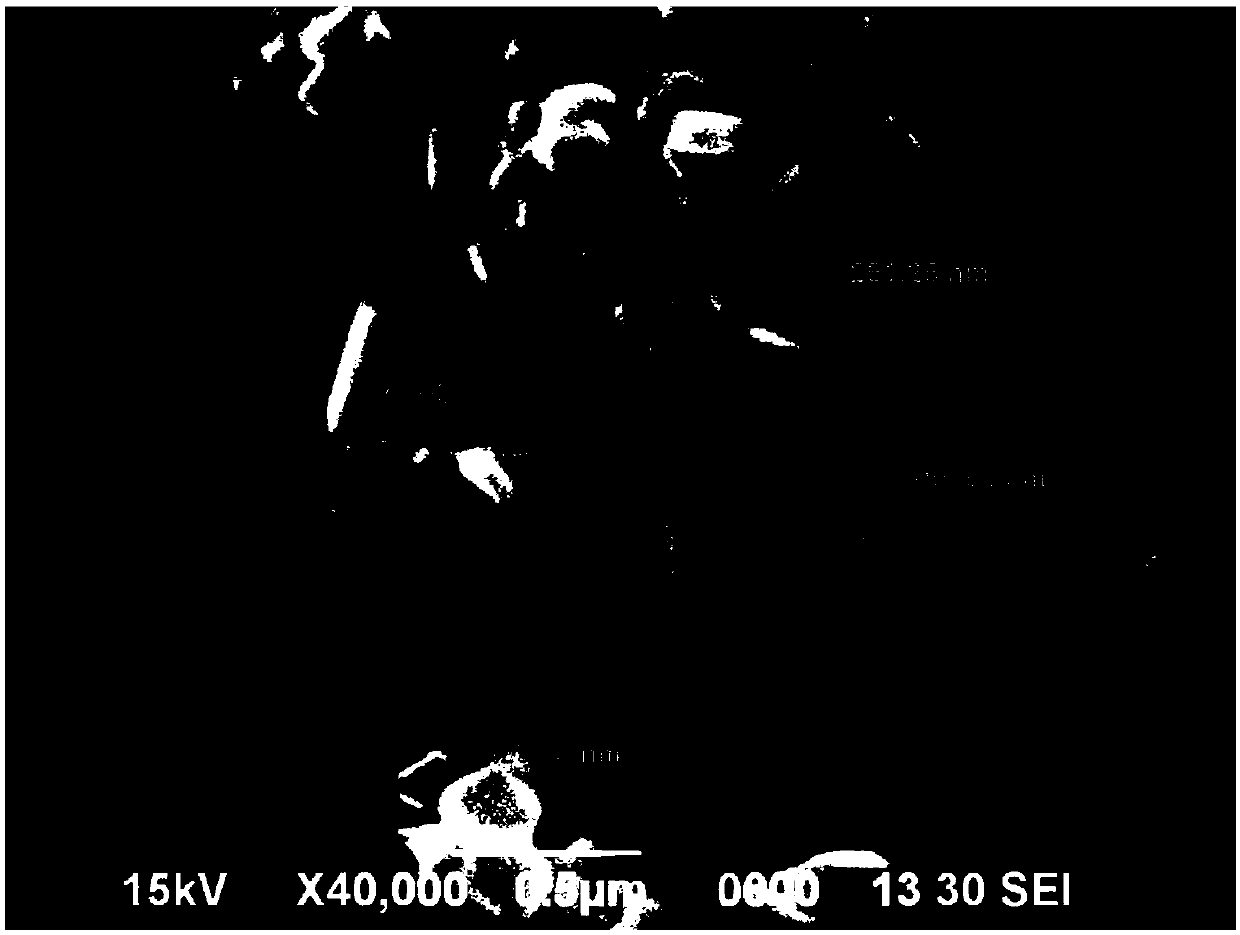 Chemical method for preparing nanoscale flaked silver powder