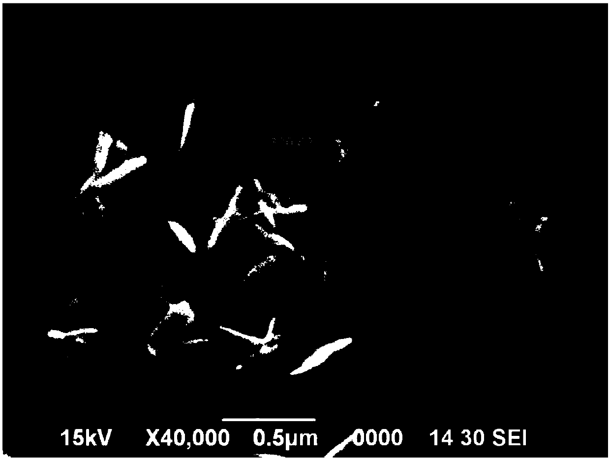 Chemical method for preparing nanoscale flaked silver powder