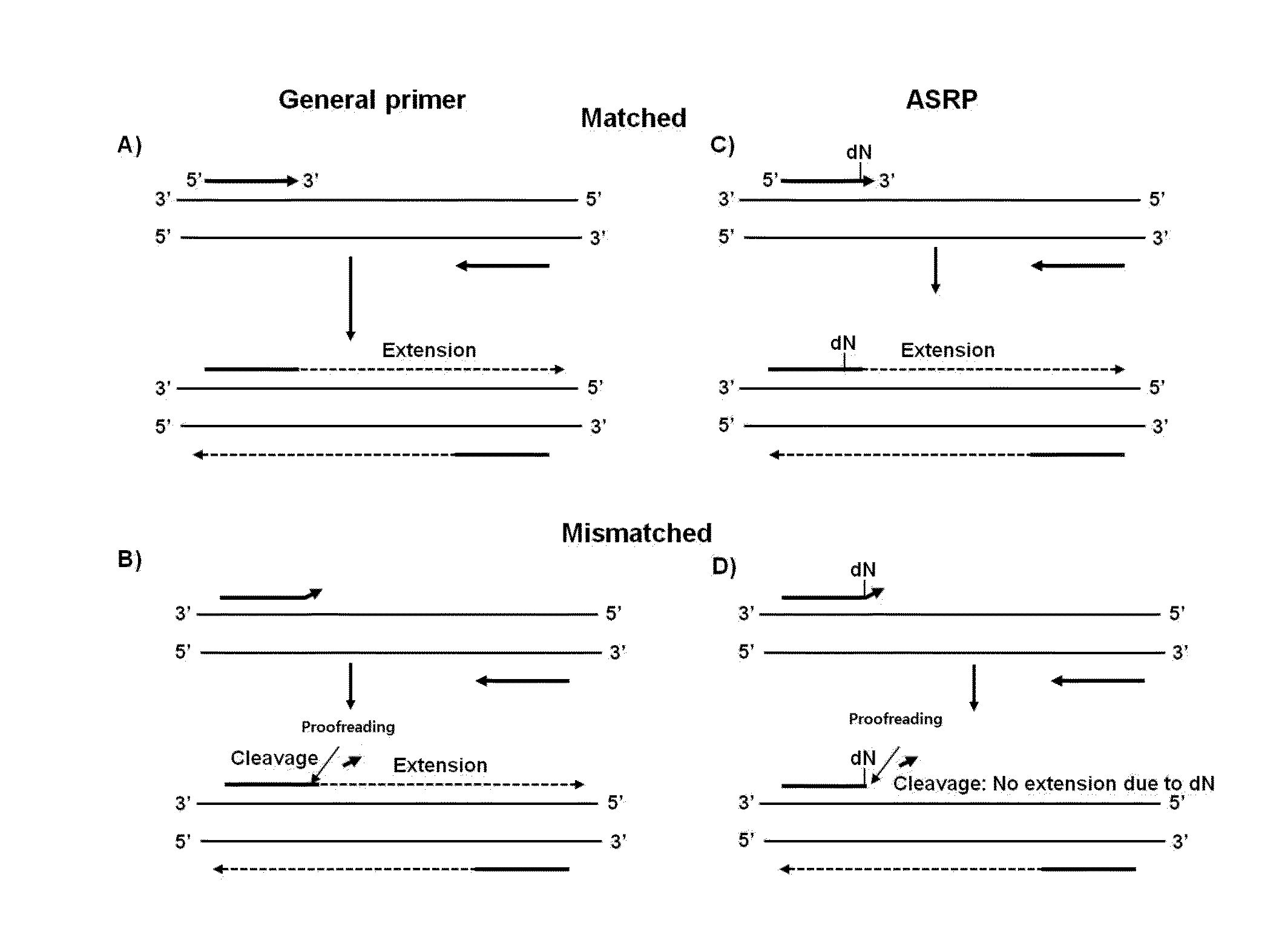 Nucleic acid amplification method using allele-specific reactive primer