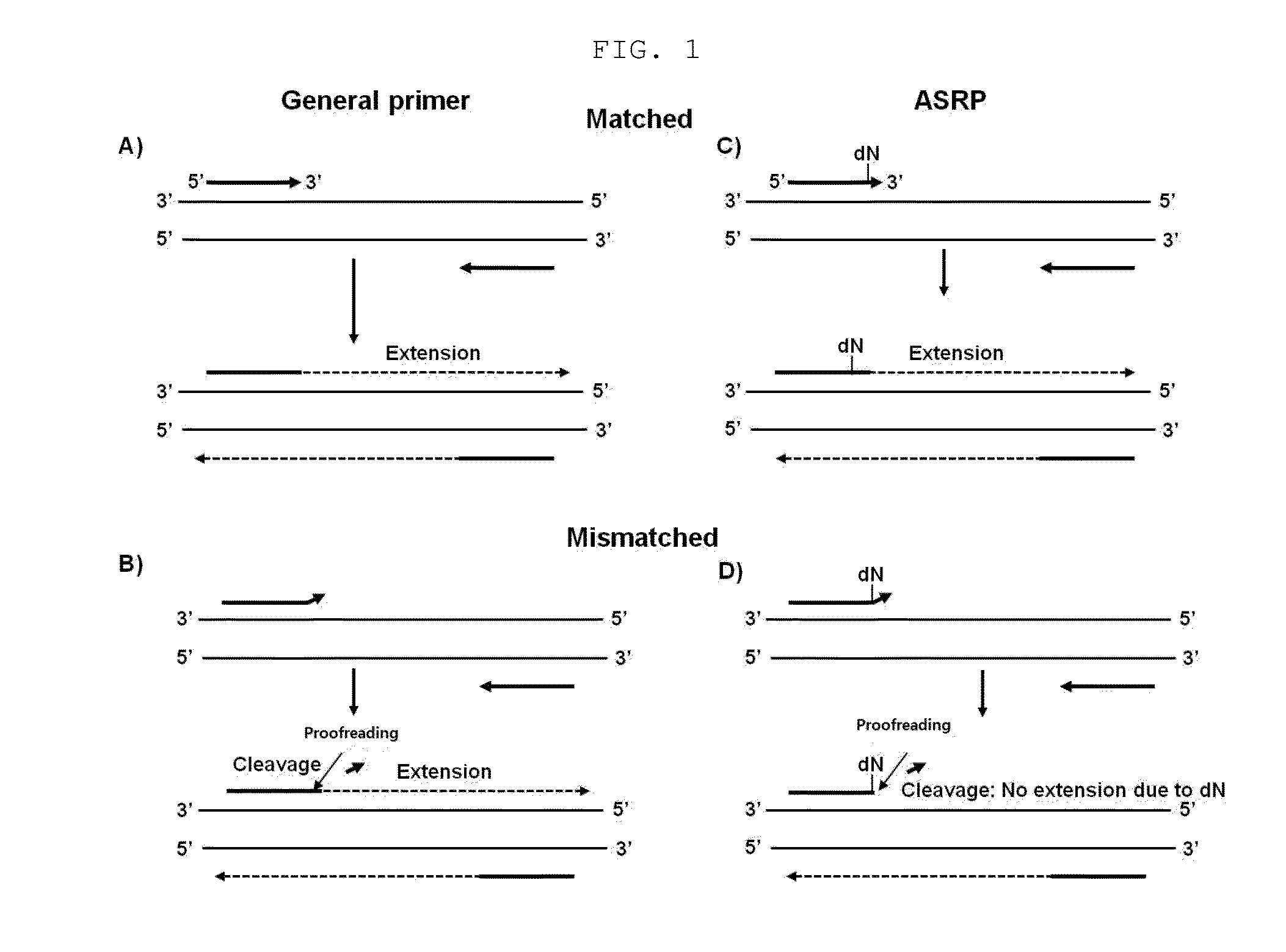 Nucleic acid amplification method using allele-specific reactive primer