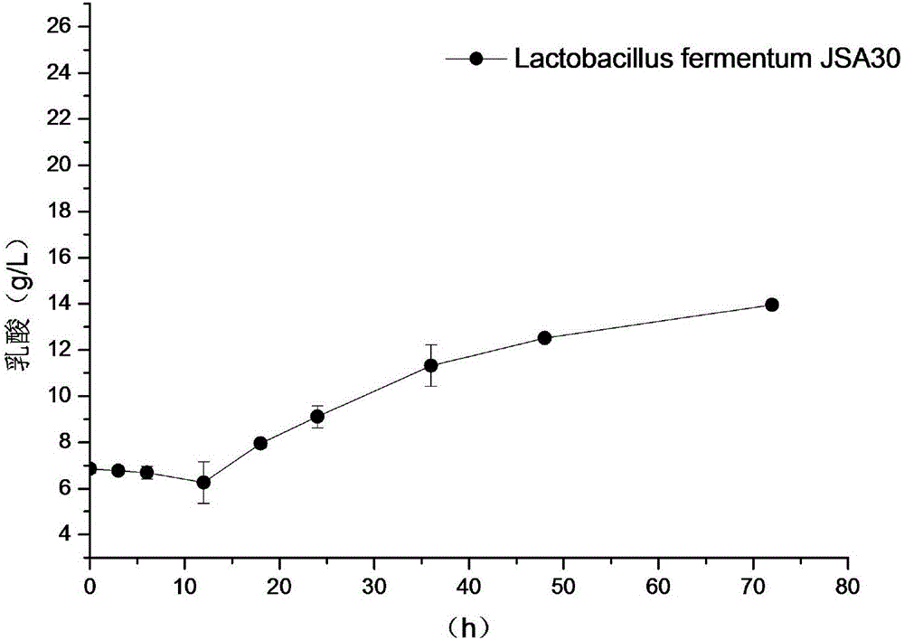Lactobacillus fermentum capable of degrading arginine and urea simultaneously